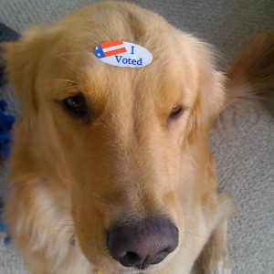 I Voted Dog "I Voted" Sticker