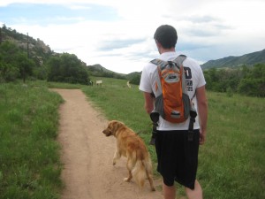 hiking-in-ken-caryl Hiking with a golden retriever